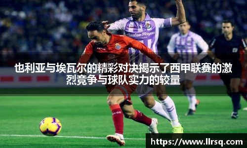 mk体育官网登录平台
