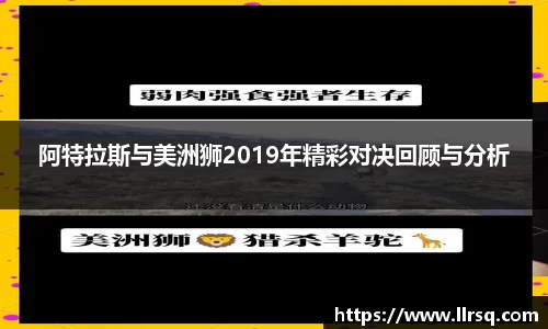 阿特拉斯与美洲狮2019年精彩对决回顾与分析