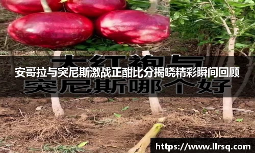 安哥拉与突尼斯激战正酣比分揭晓精彩瞬间回顾